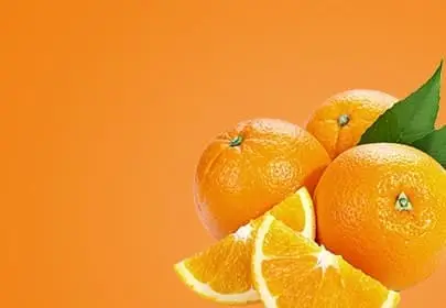 banner-02.jpg