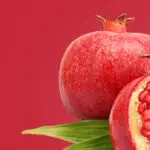 banner-09.jpg
